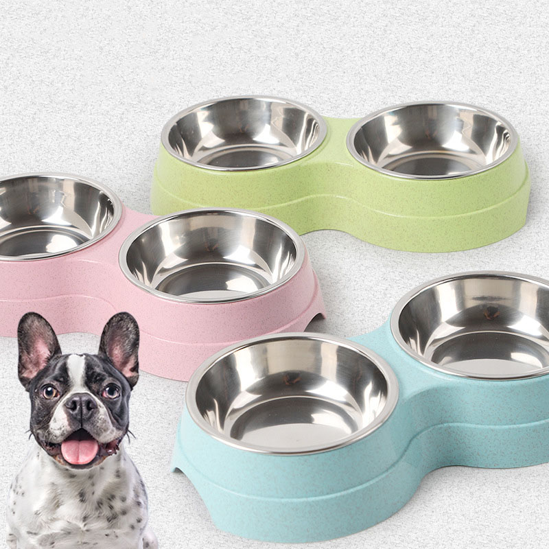 The must-have dog feeding supplies for every pet parent!