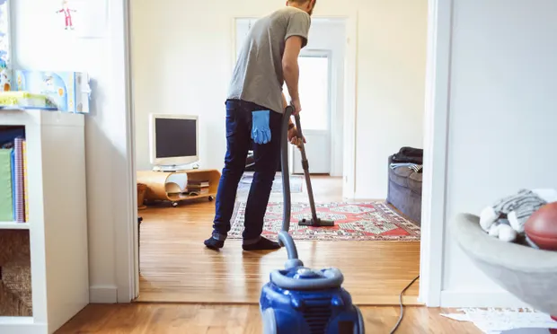 Household Vacuum Cleaners: Raising the Joy of Cleaning